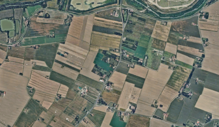 immagine annuncio 12 di 13