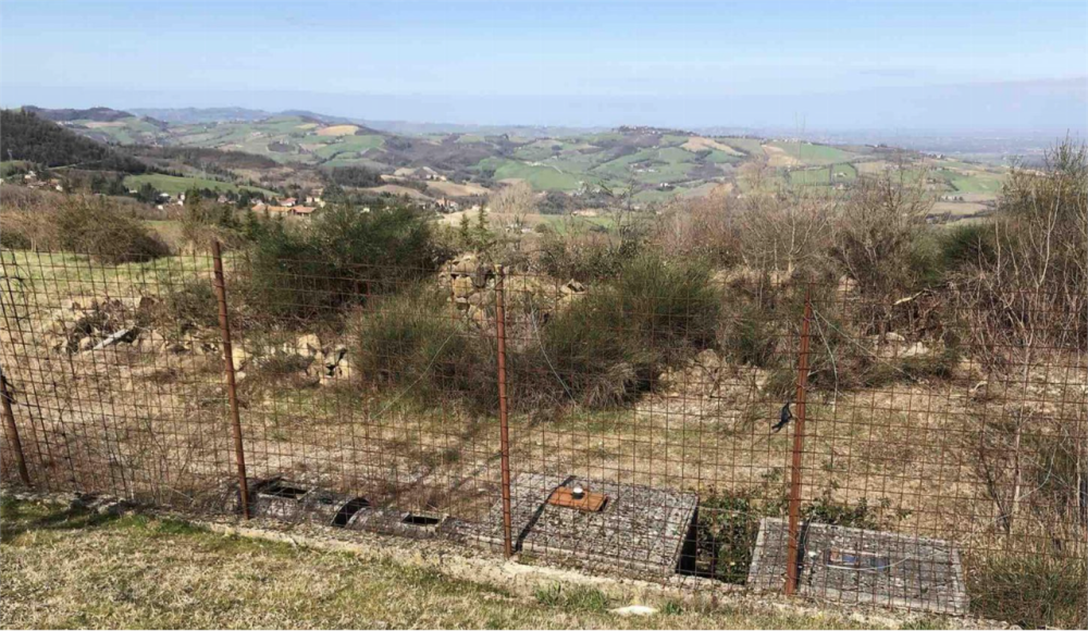 immagine annuncio 1 di 13