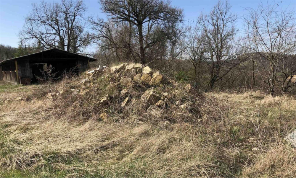 immagine annuncio 3 di 13