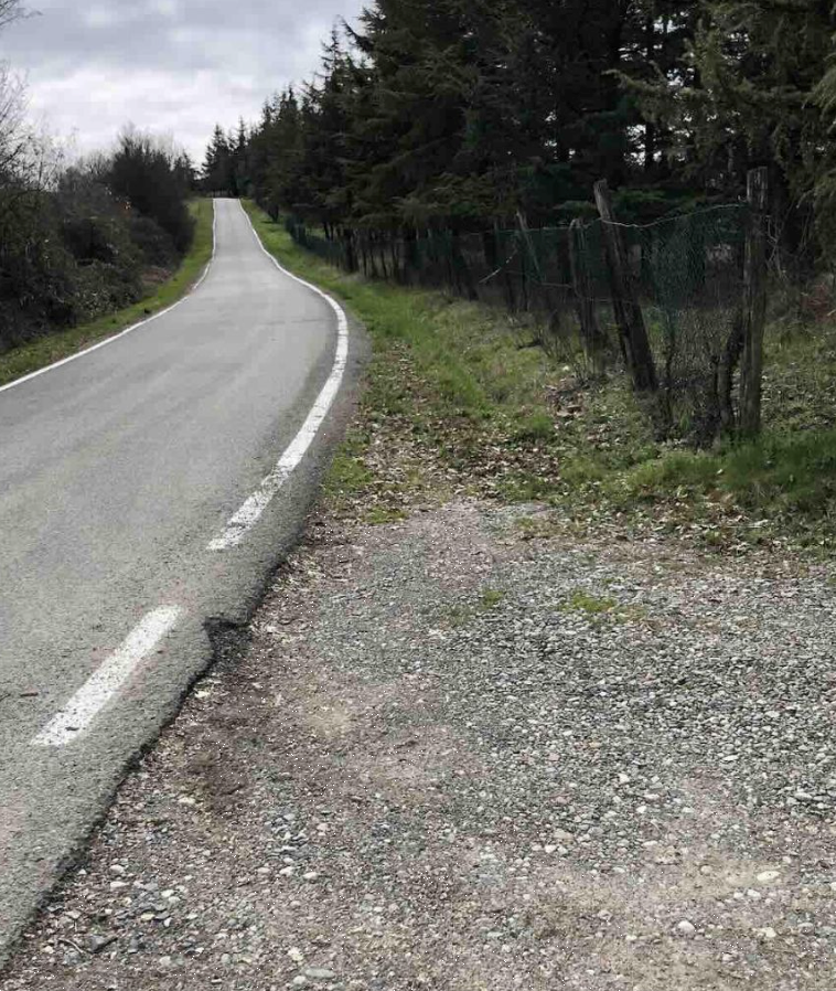 immagine annuncio 8 di 13