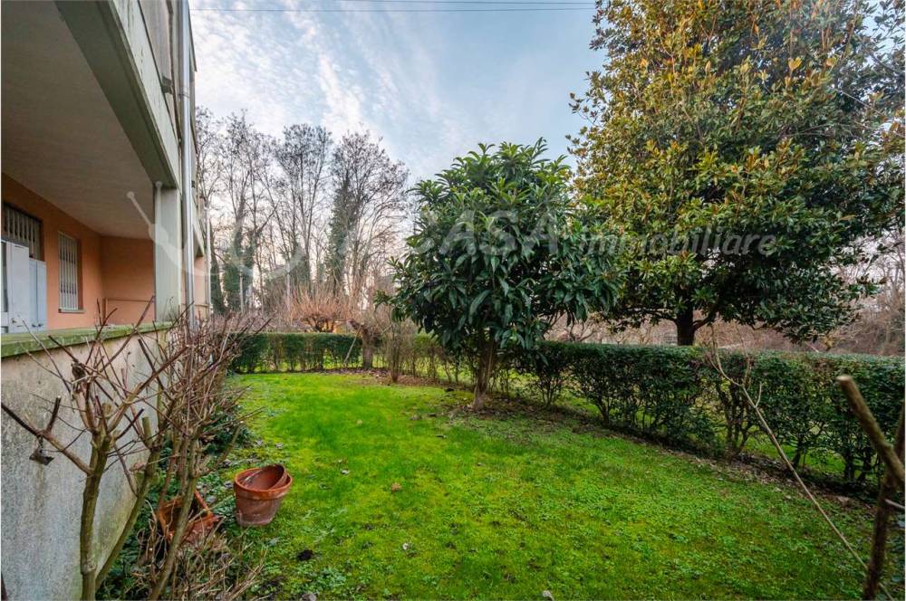 immagine annuncio 1 di 13