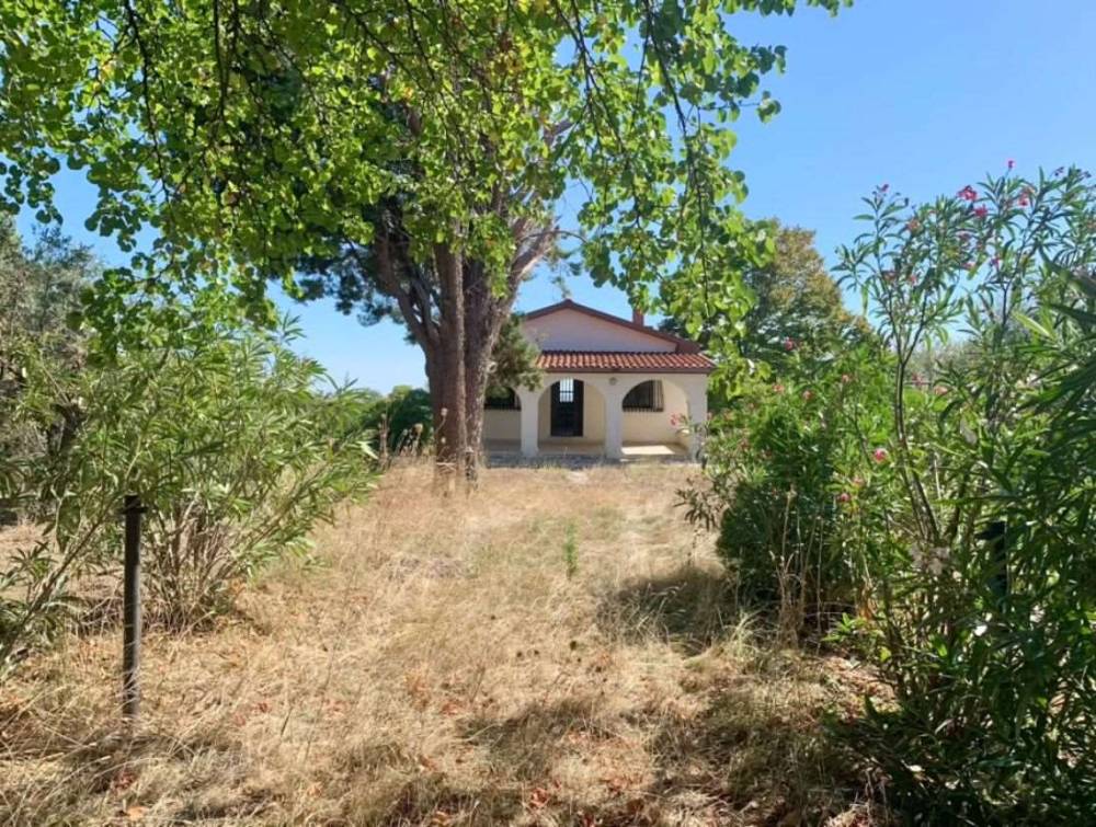 immagine annuncio 7 di 13