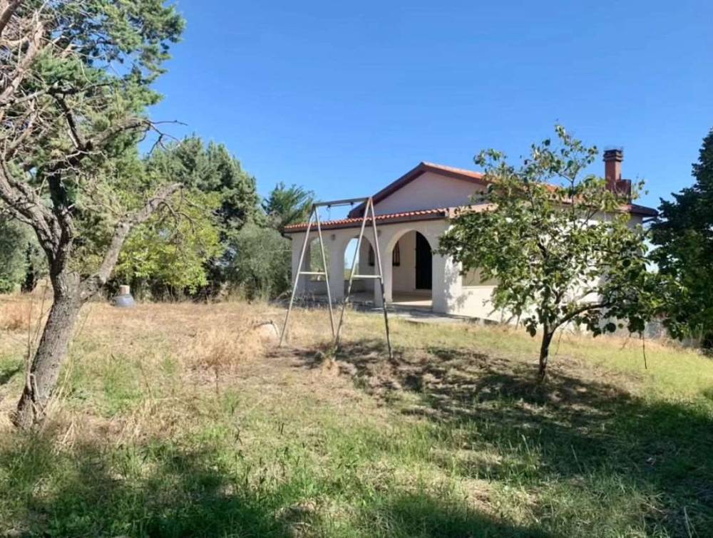 immagine annuncio 8 di 13