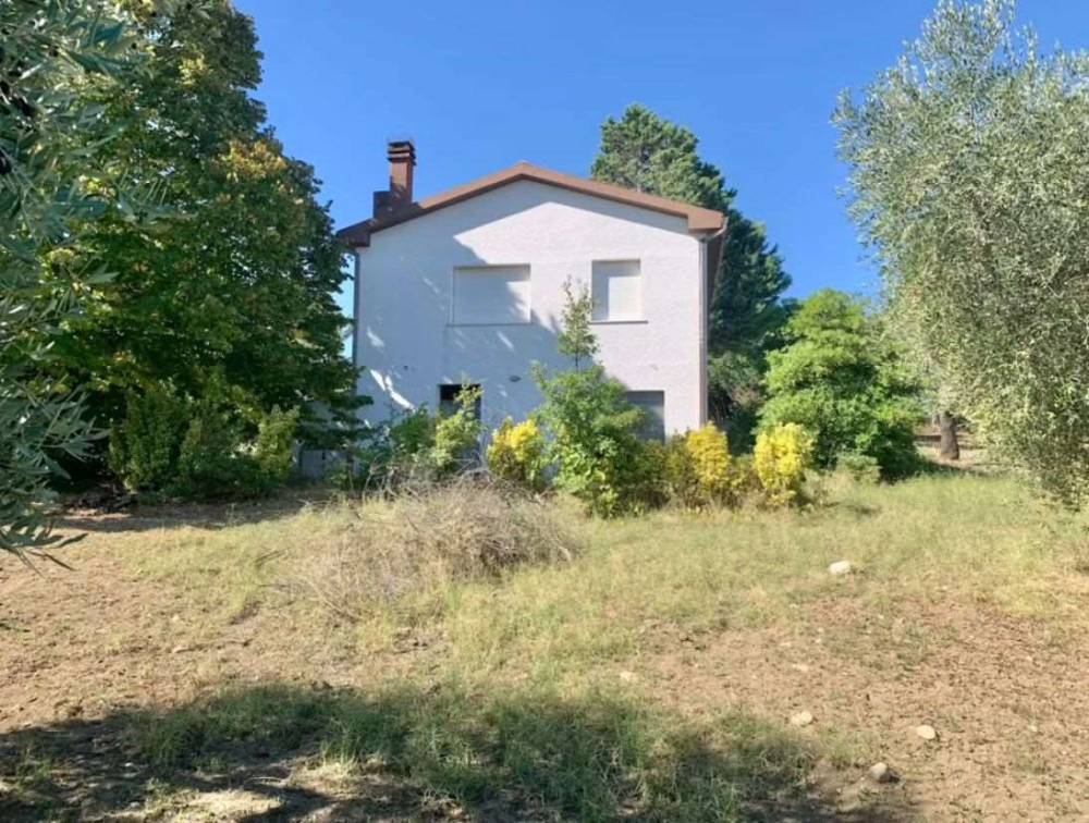 immagine annuncio 11 di 13