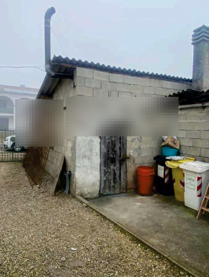 immagine annuncio 3 di 13