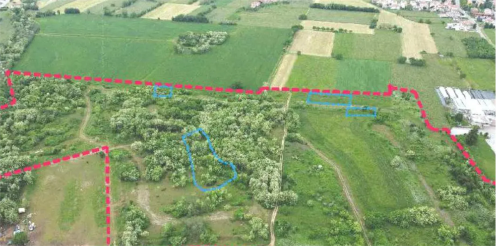 immagine annuncio 1 di 12