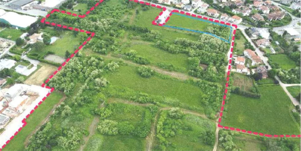 immagine annuncio 2 di 12