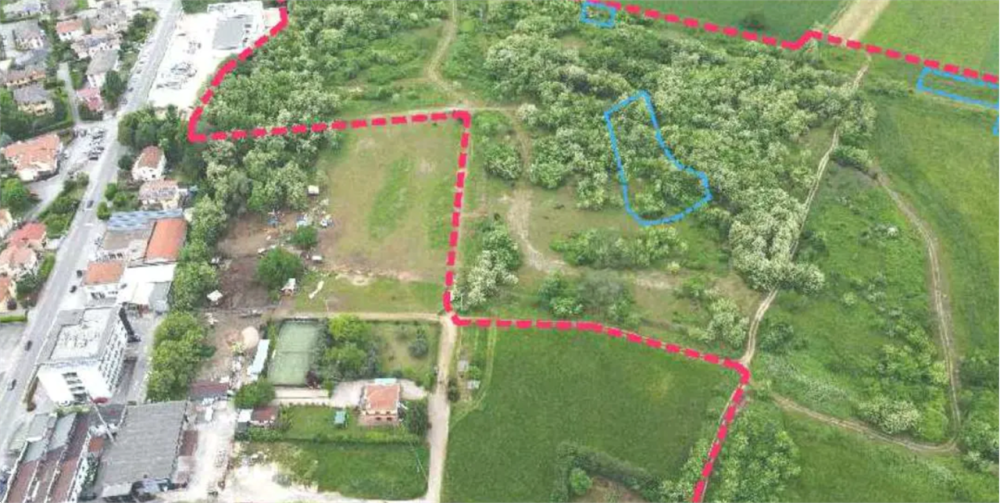 immagine annuncio 3 di 12