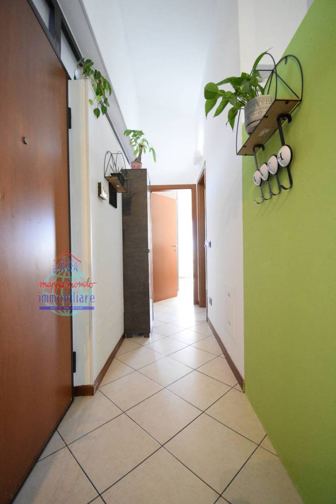 immagine annuncio 6 di 13