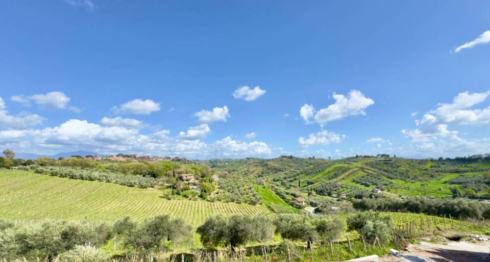 immagine annuncio 6 di 13