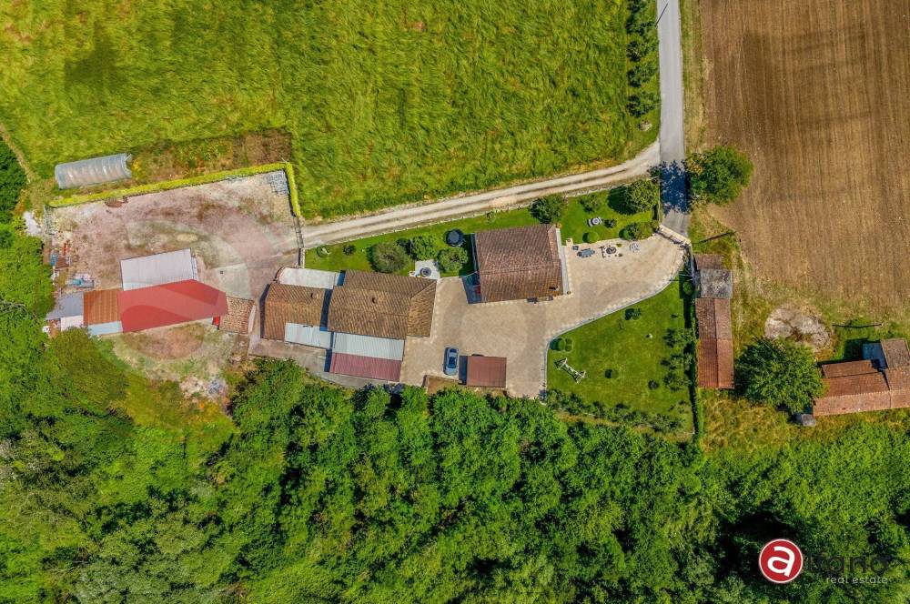 immagine annuncio 9 di 13