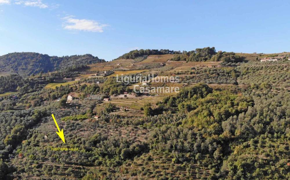 immagine annuncio 5 di 9