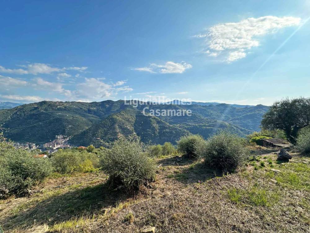 immagine annuncio 6 di 9