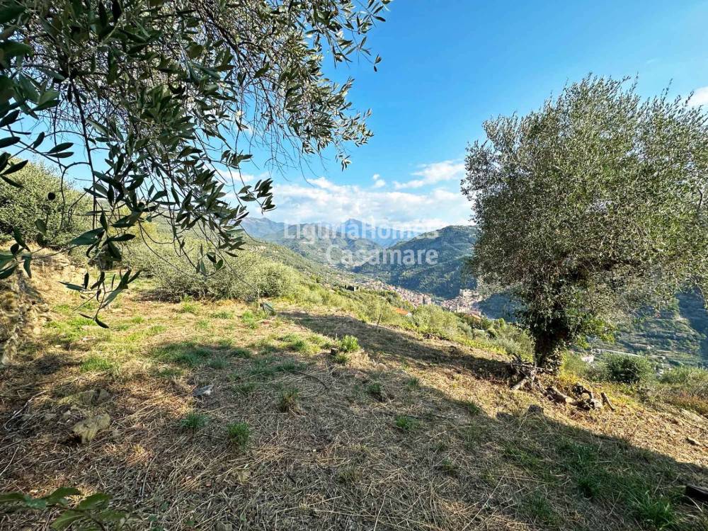 immagine annuncio 7 di 9