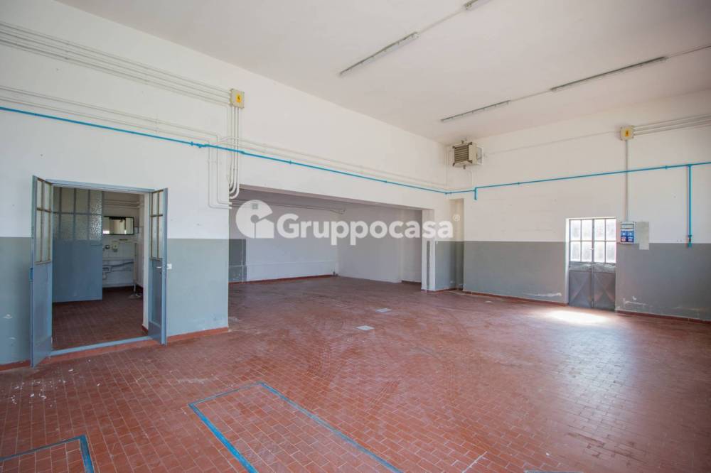 immagine annuncio 8 di 13