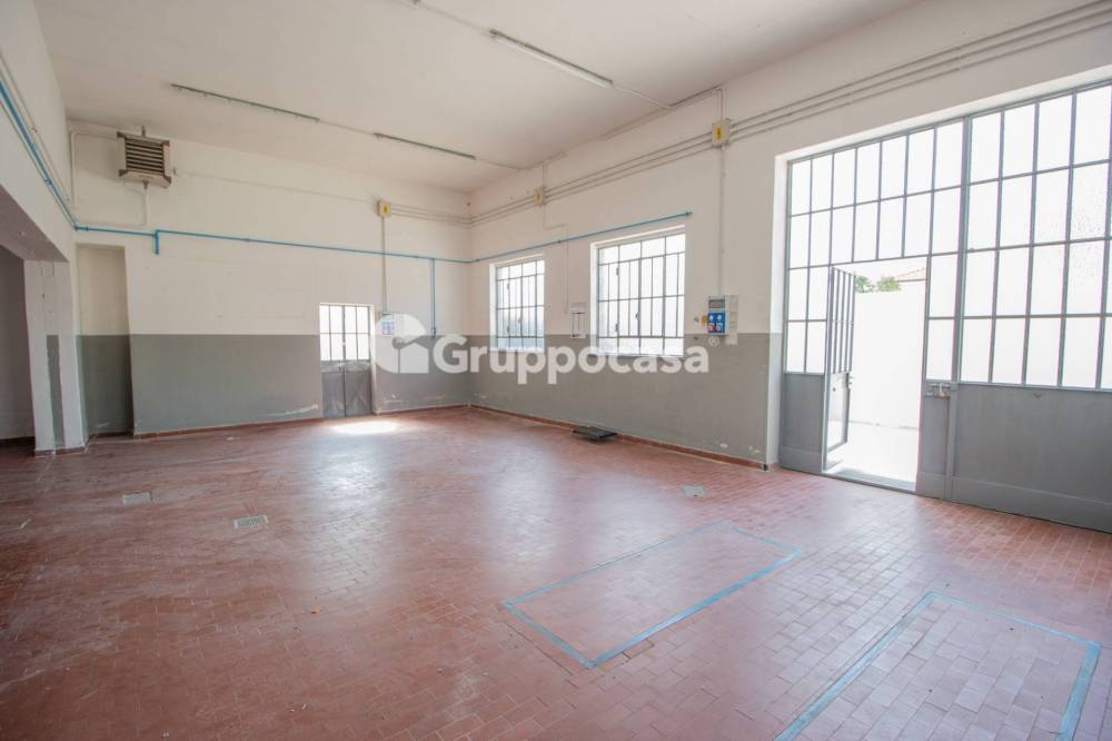 immagine annuncio 11 di 13