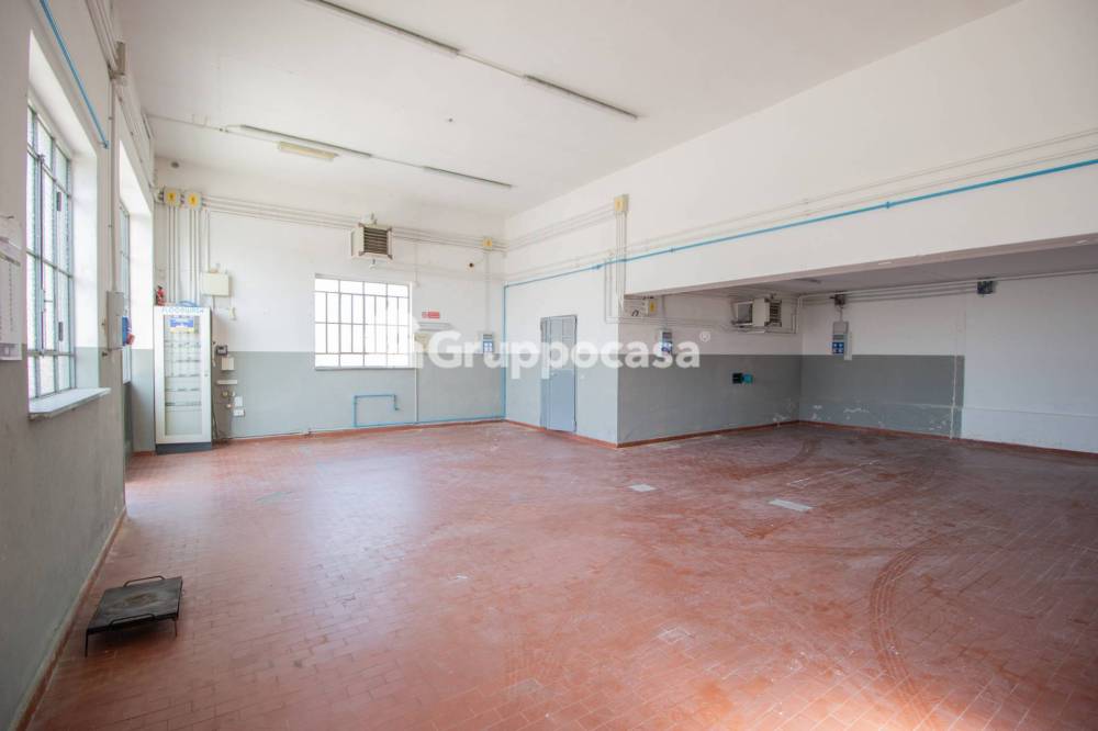 immagine annuncio 12 di 13