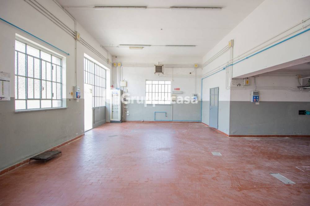 immagine annuncio 10 di 13