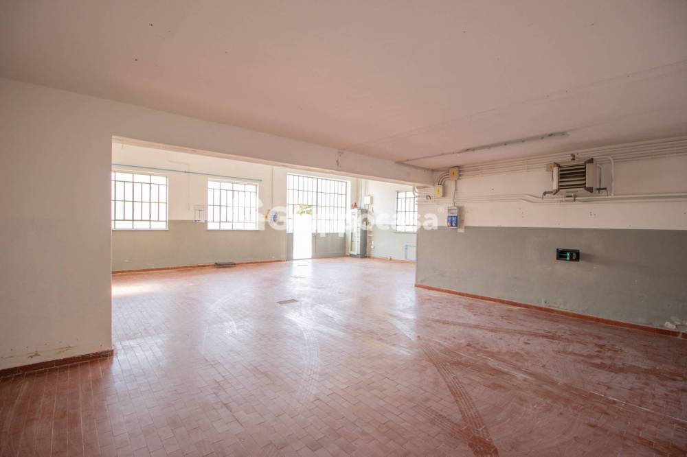 immagine annuncio 7 di 13