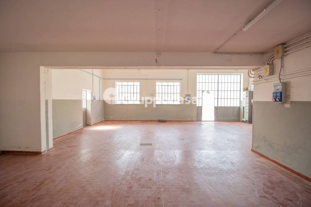 immagine annuncio 6 di 13