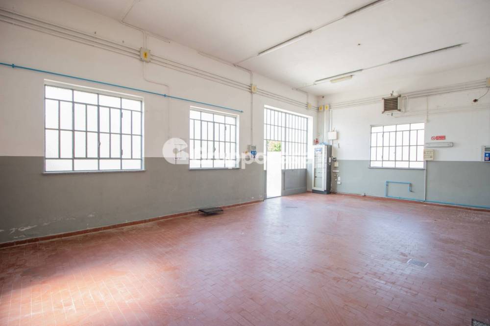 immagine annuncio 1 di 13