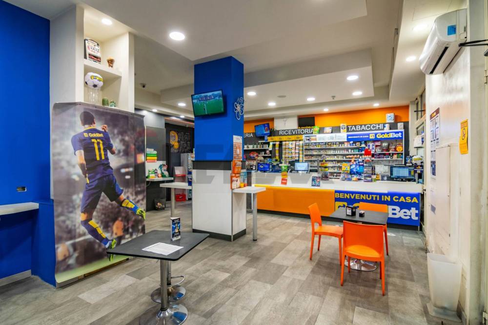 immagine annuncio 3 di 13