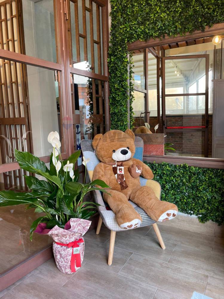 immagine annuncio 2 di 12