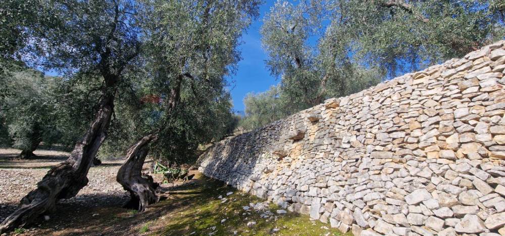 immagine annuncio 4 di 13