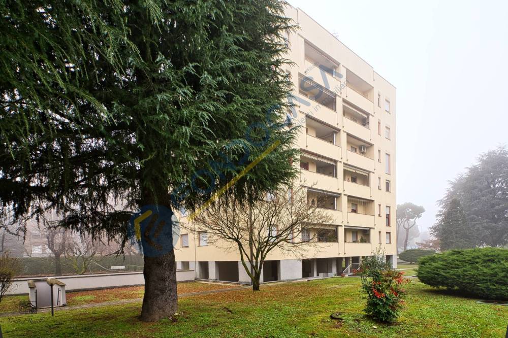 immagine annuncio 4 di 13