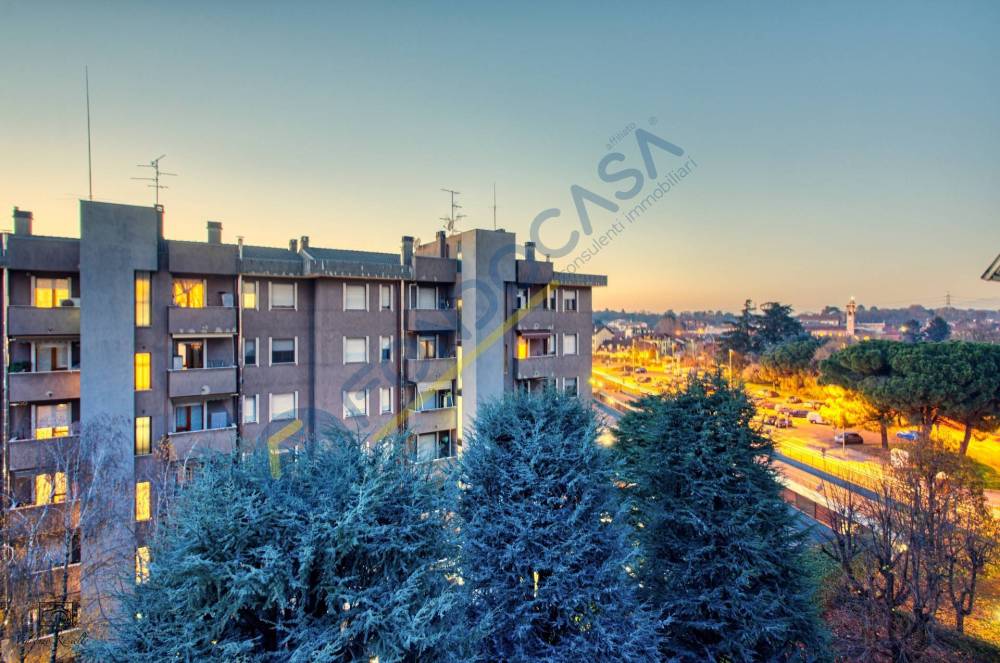 immagine annuncio 6 di 13