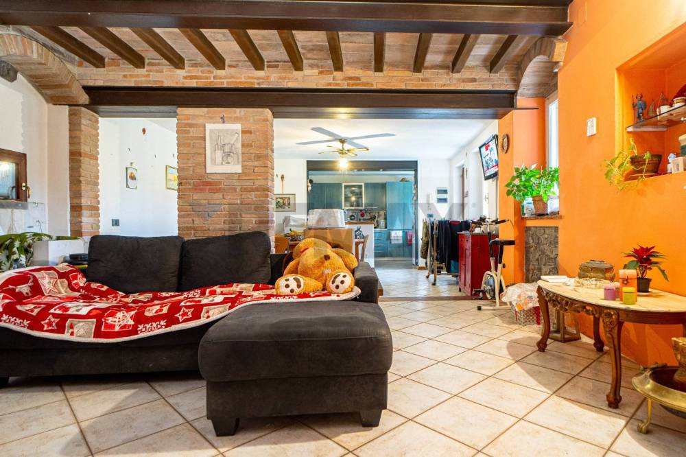 immagine annuncio 3 di 13