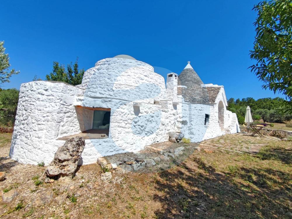 immagine annuncio 1 di 13