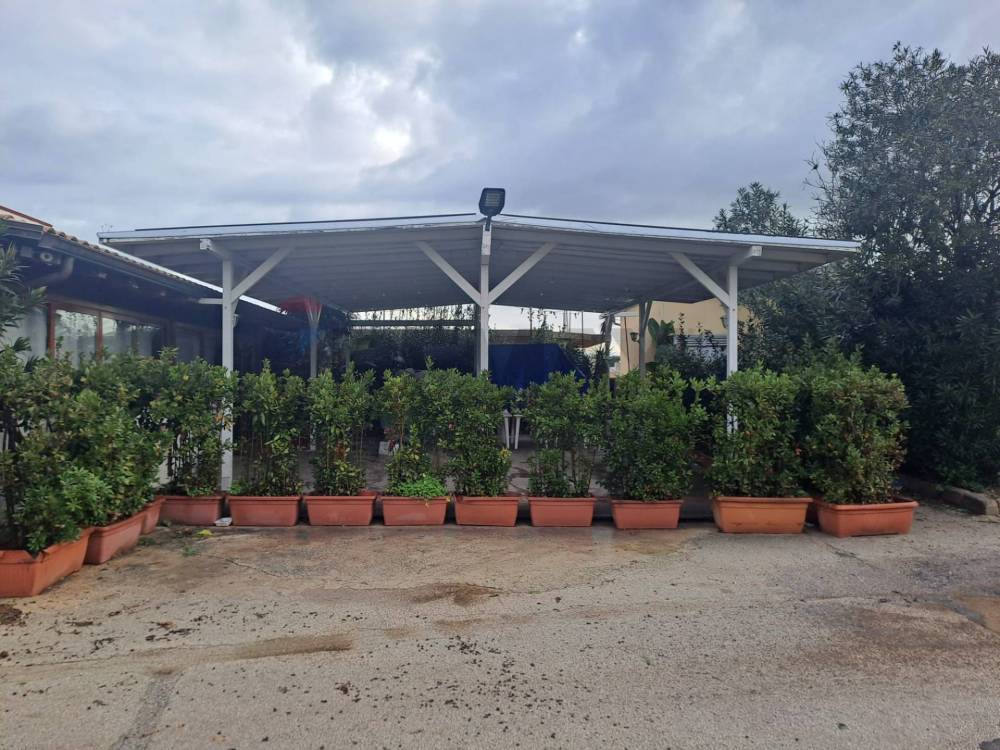 immagine annuncio 5 di 13