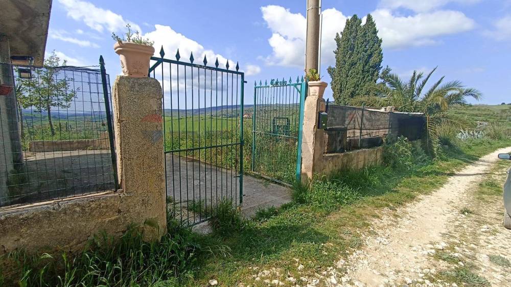 immagine annuncio 2 di 13