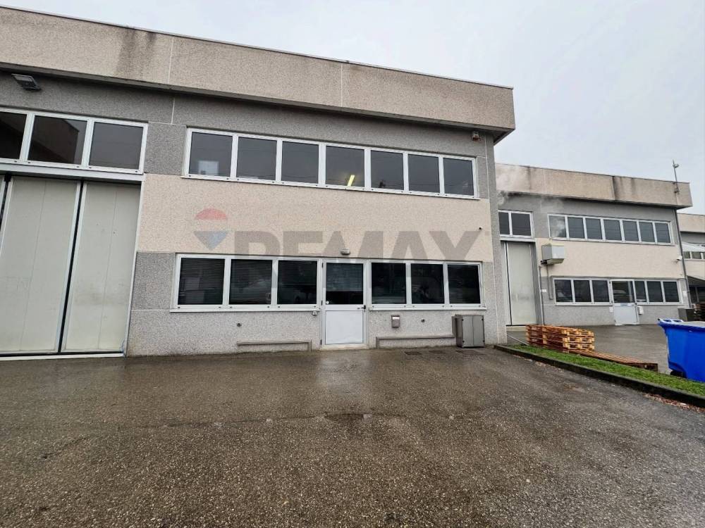 immagine annuncio 3 di 13