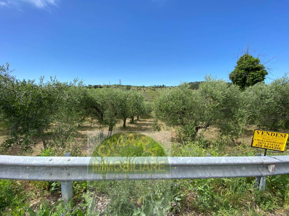 immagine annuncio 3 di 13