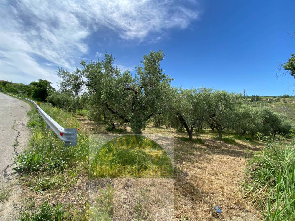 immagine annuncio 4 di 13