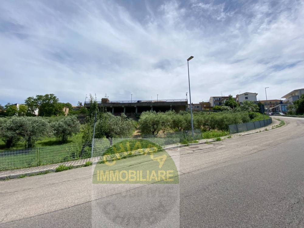 immagine annuncio 6 di 13