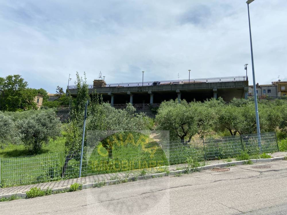 immagine annuncio 7 di 13