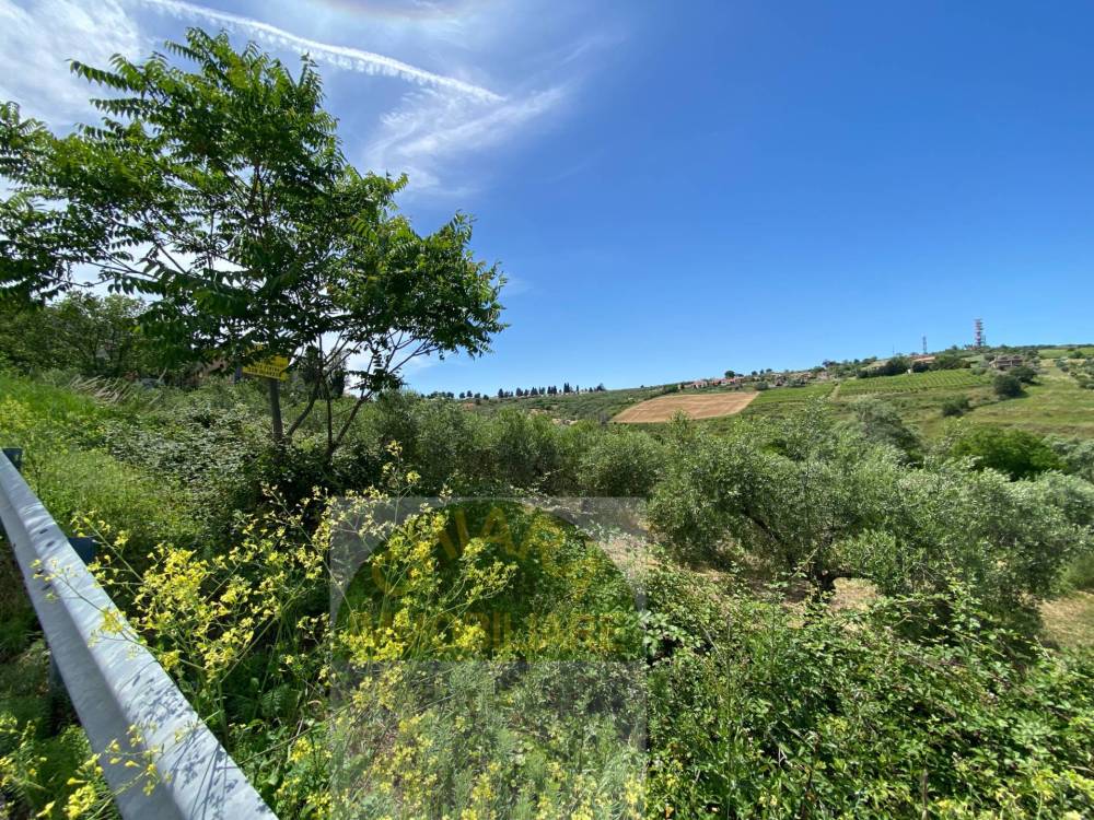 immagine annuncio 8 di 13