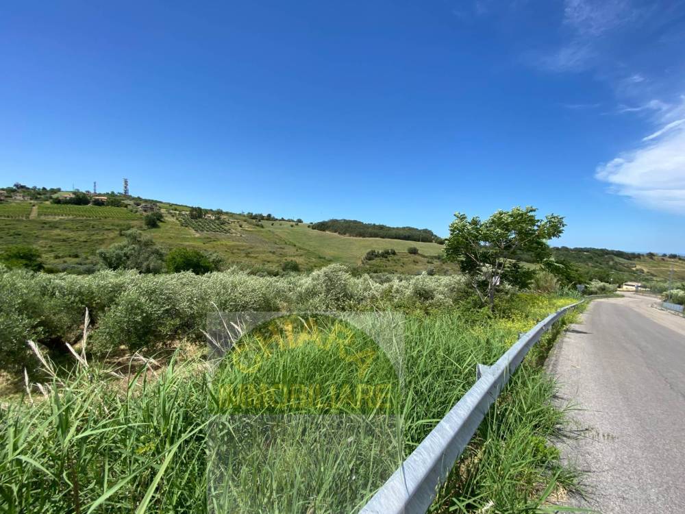 immagine annuncio 9 di 13