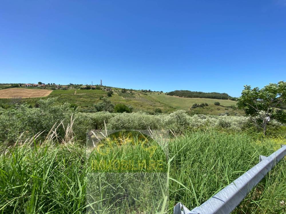 immagine annuncio 10 di 13