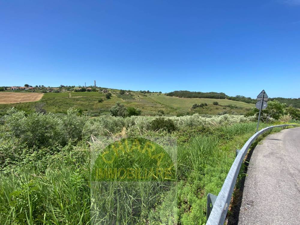 immagine annuncio 11 di 13