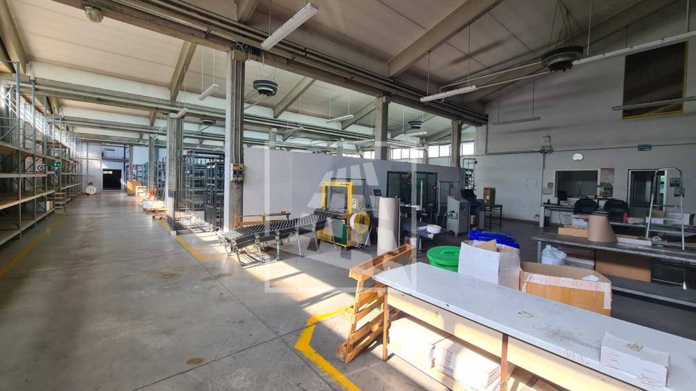 immagine annuncio 10 di 13