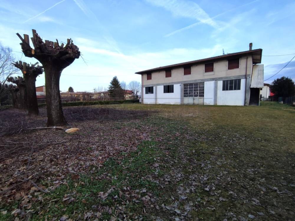 immagine annuncio 7 di 8