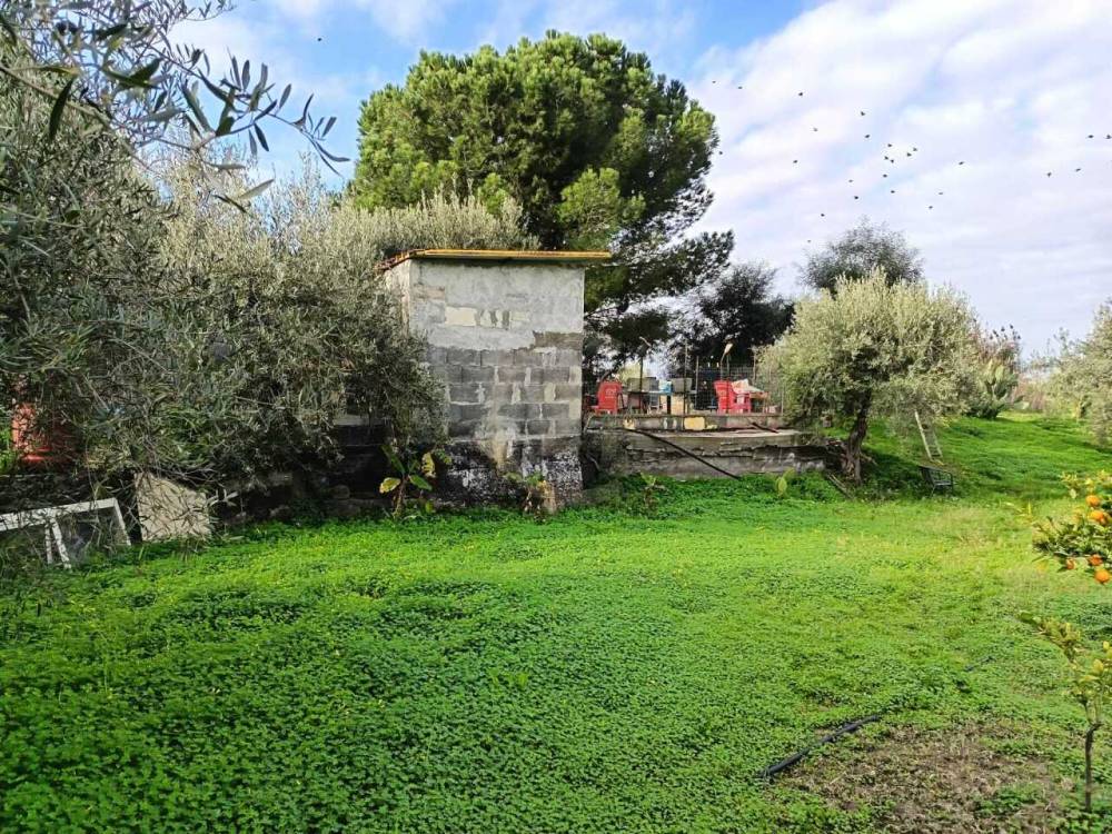 immagine annuncio 4 di 13