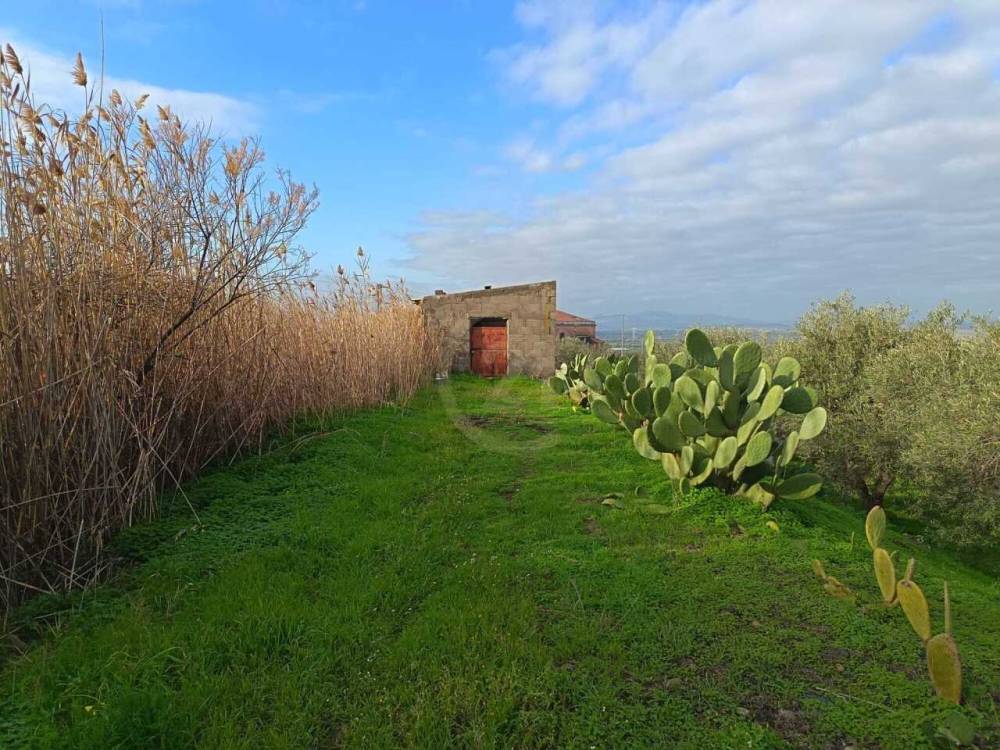 immagine annuncio 7 di 13