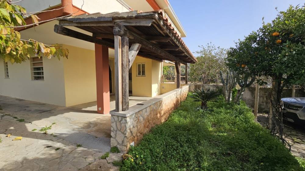 immagine annuncio 7 di 12