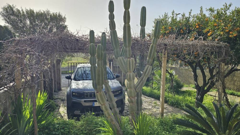 immagine annuncio 11 di 12