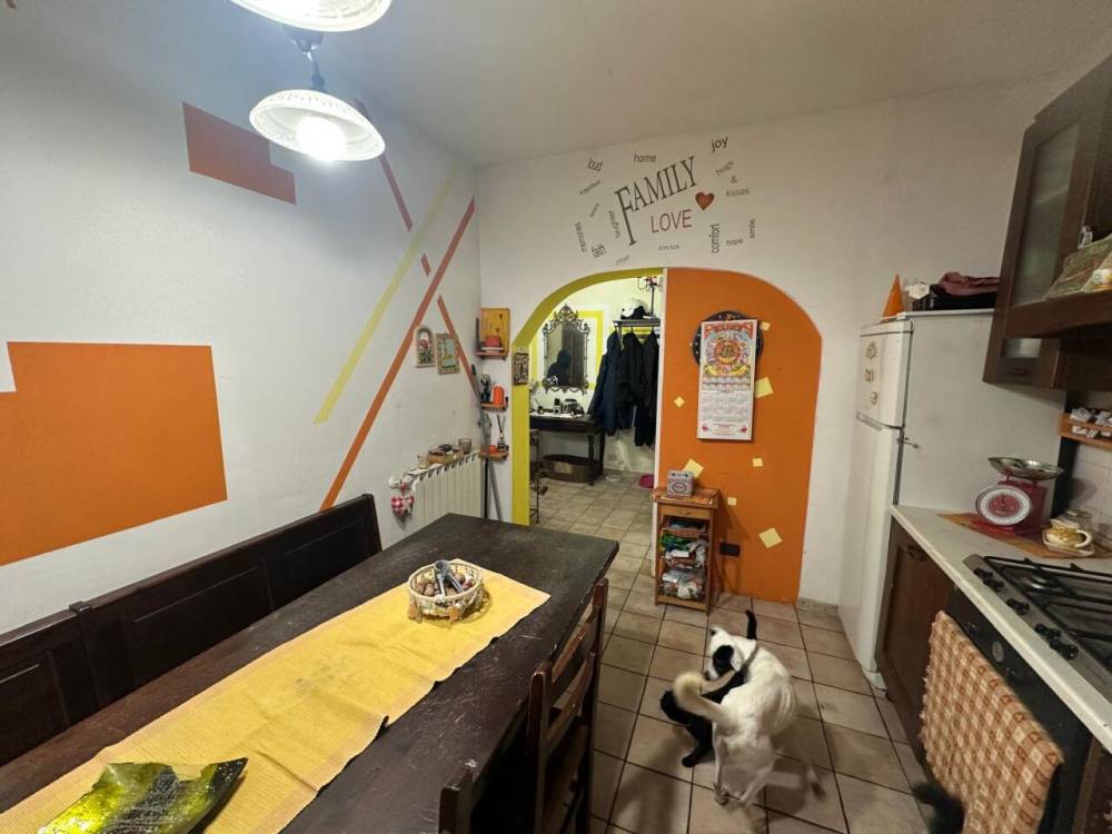 immagine annuncio 6 di 13